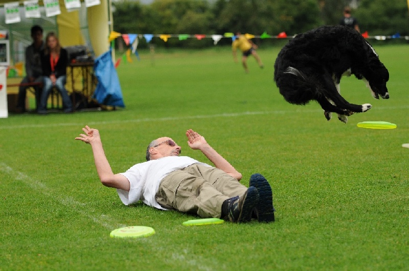 Image 120 of 855  -  226 kB