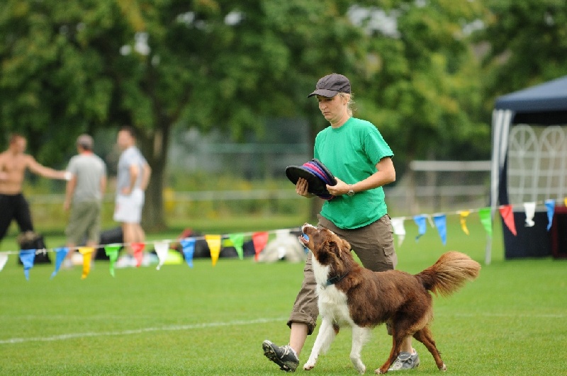 Image 121 of 855  -  214 kB