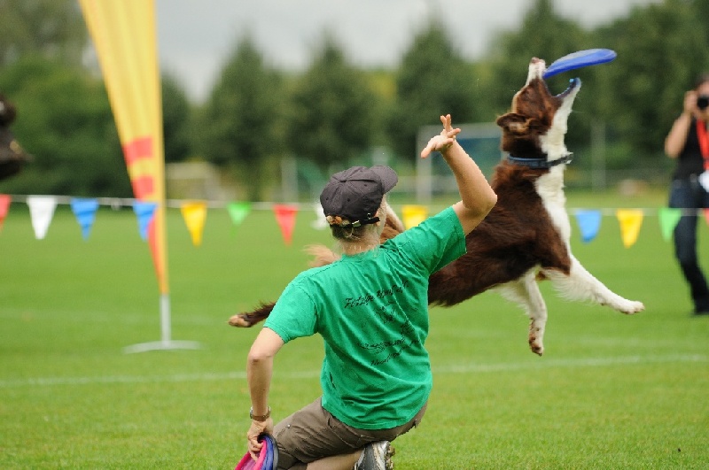 Image 123 of 855  -  202 kB