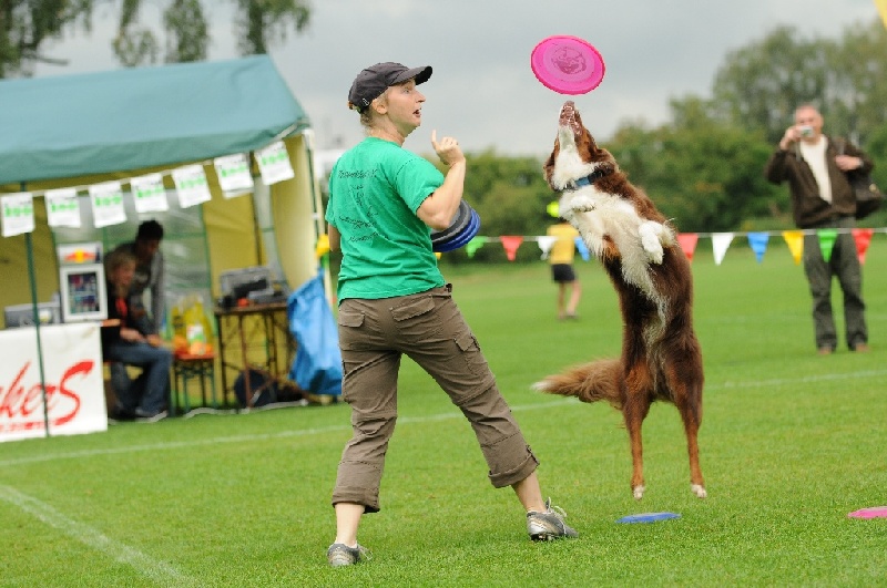 Image 124 of 855  -  231 kB