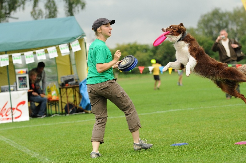 Image 125 of 855  -  230 kB