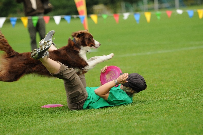 Image 126 of 855  -  224 kB