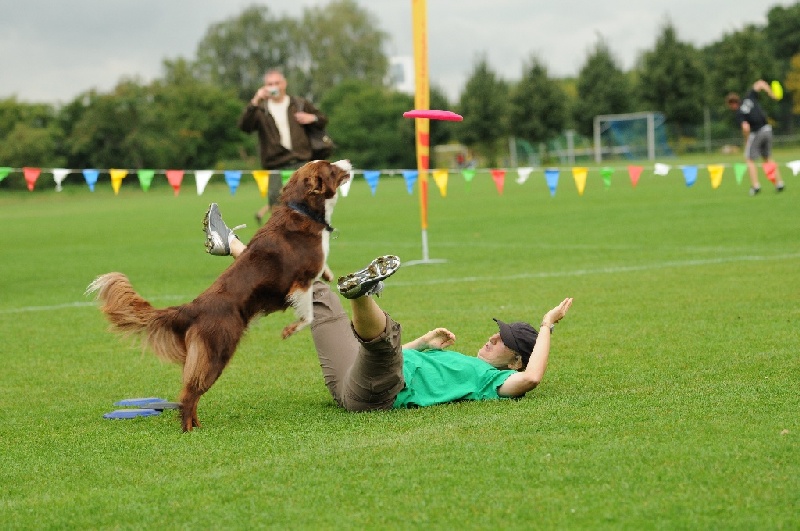 Image 127 of 855  -  231 kB