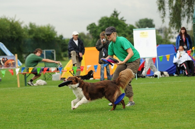 Image 129 of 855  -  244 kB