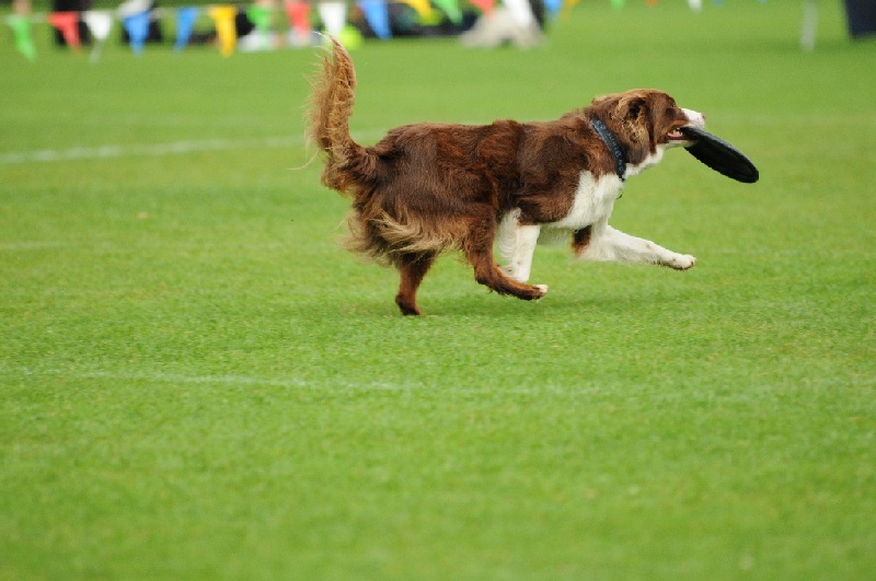 Image 130 of 855  -  199 kB