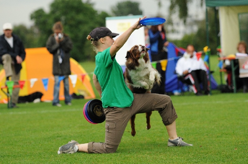 Image 131 of 855  -  230 kB