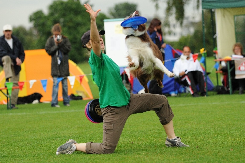 Image 132 of 855  -  241 kB