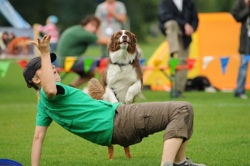 Image 133 of 855  -  221 kB