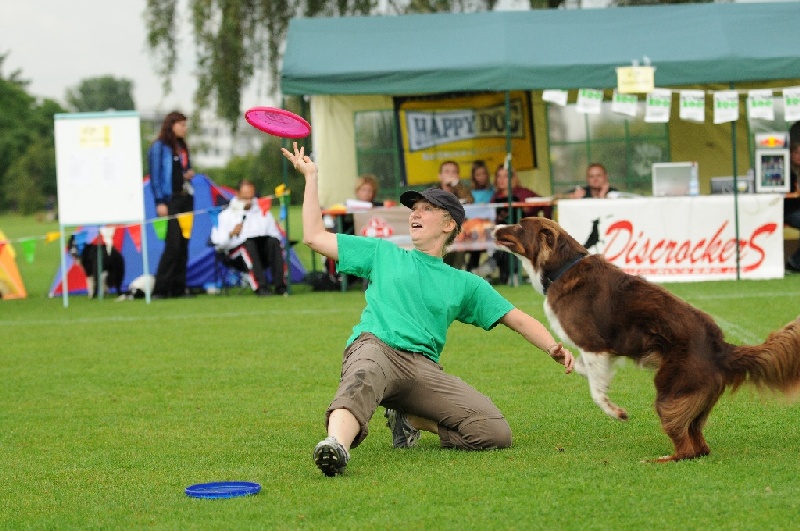 Image 135 of 855  -  247 kB