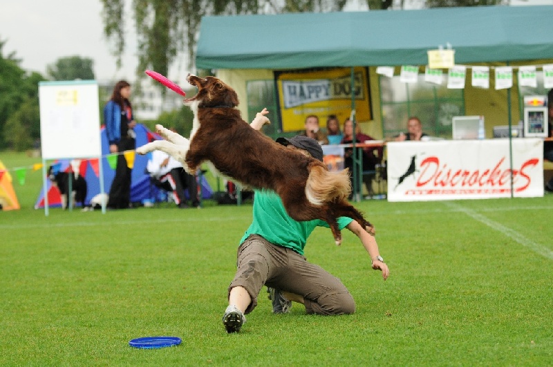 Image 136 of 855  -  241 kB