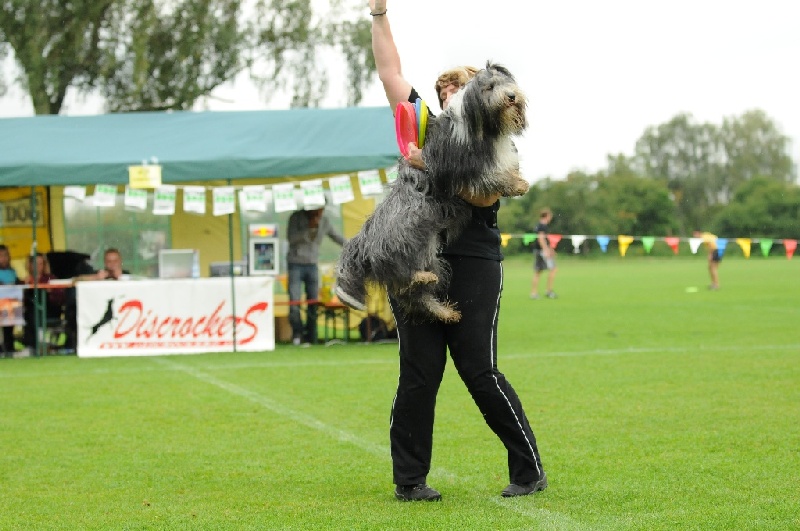 Image 137 of 855  -  213 kB