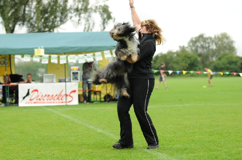 Image 138 of 855  -  207 kB