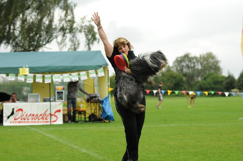 Image 139 of 855  -  200 kB