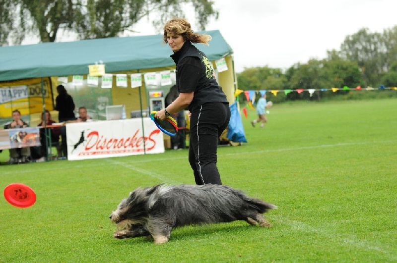 Image 141 of 855  -  229 kB