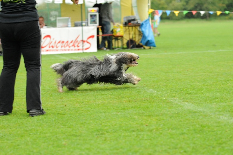 Image 142 of 855  -  197 kB