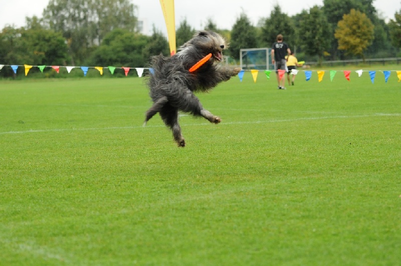 Image 143 of 855  -  218 kB