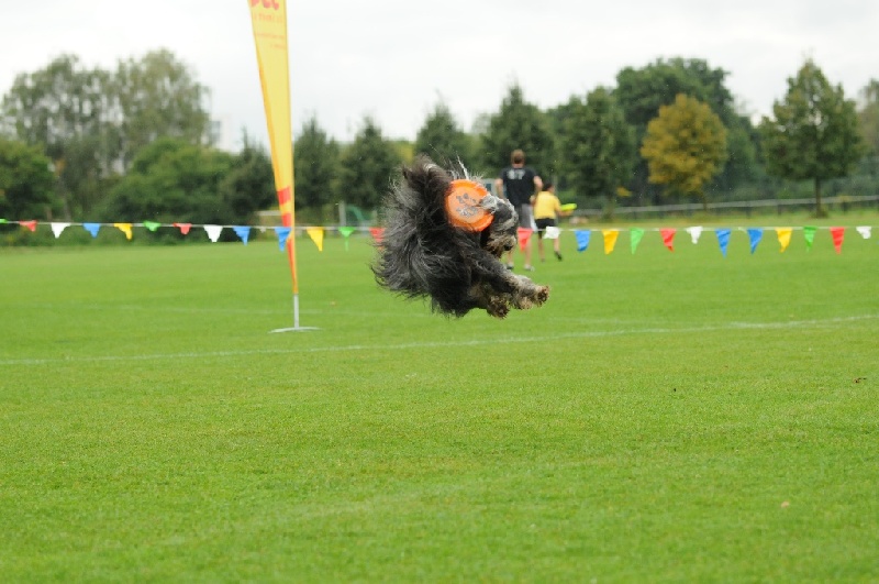 Image 144 of 855  -  207 kB