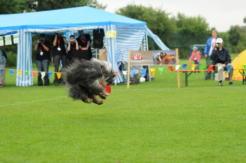 Image 145 of 855  -  222 kB