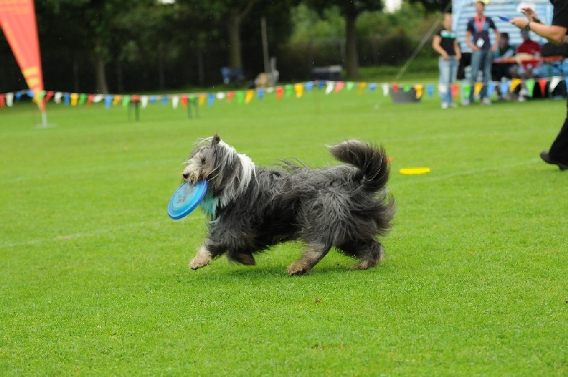 Image 146 of 855  -  232 kB