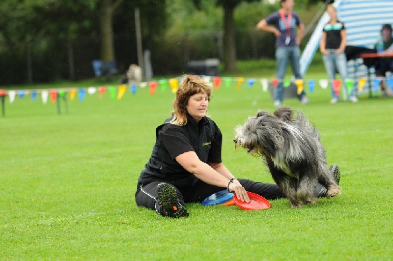 Image 147 of 855  -  222 kB