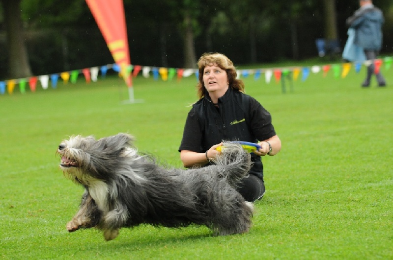 Image 150 of 855  -  204 kB