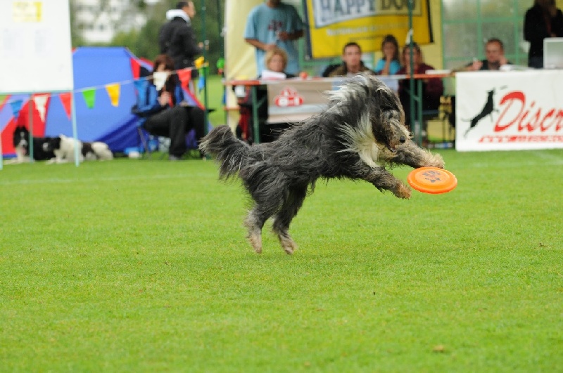 Image 151 of 855  -  223 kB