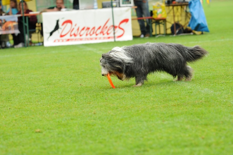 Image 153 of 855  -  207 kB