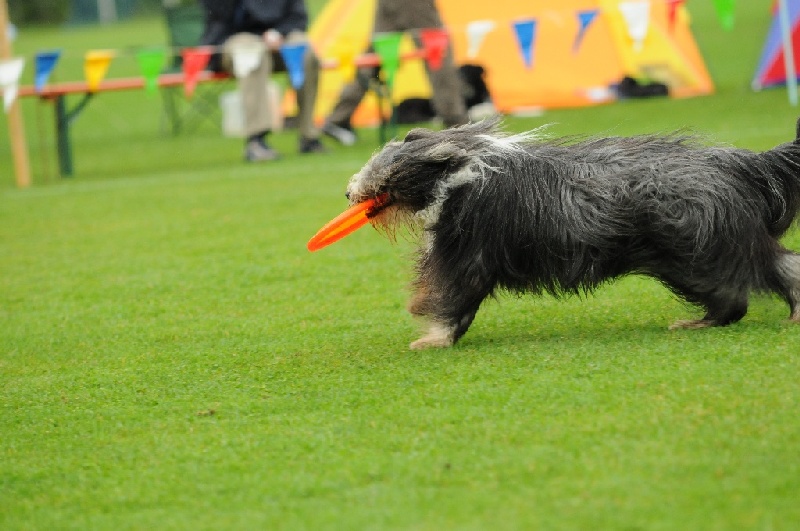 Image 154 of 855  -  207 kB