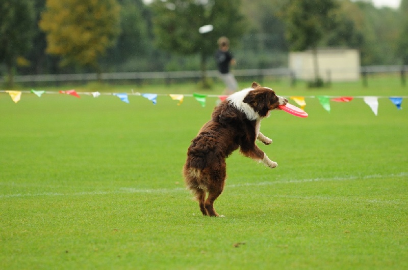 Image 155 of 855  -  189 kB