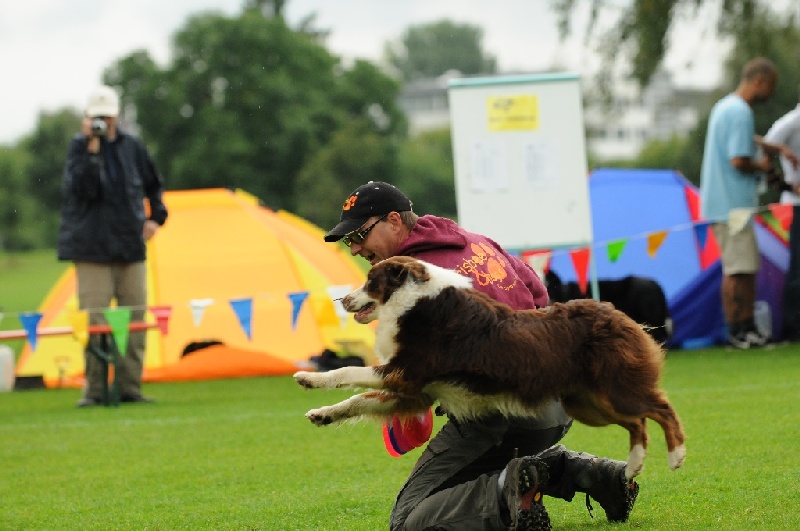 Image 156 of 855  -  201 kB