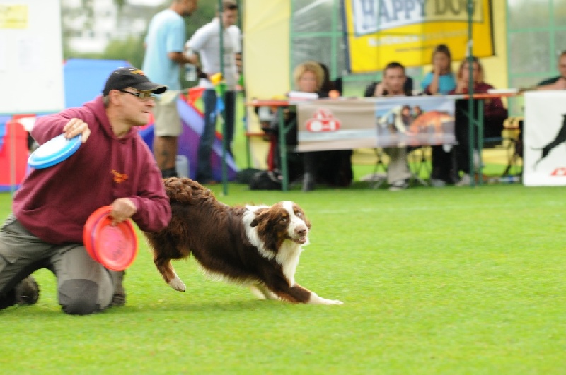 Image 157 of 855  -  194 kB