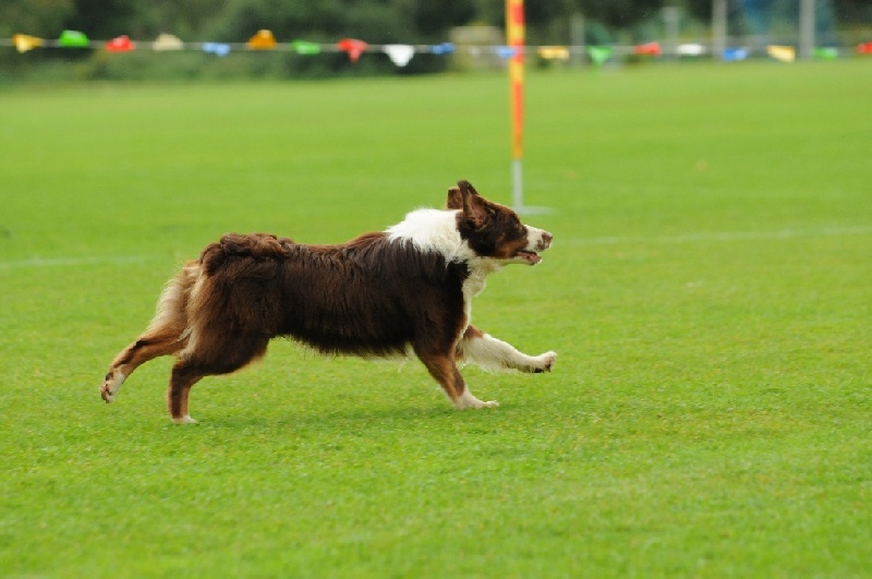 Image 158 of 855  -  185 kB