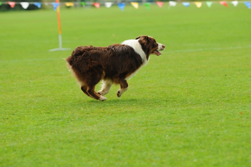 Image 159 of 855  -  182 kB