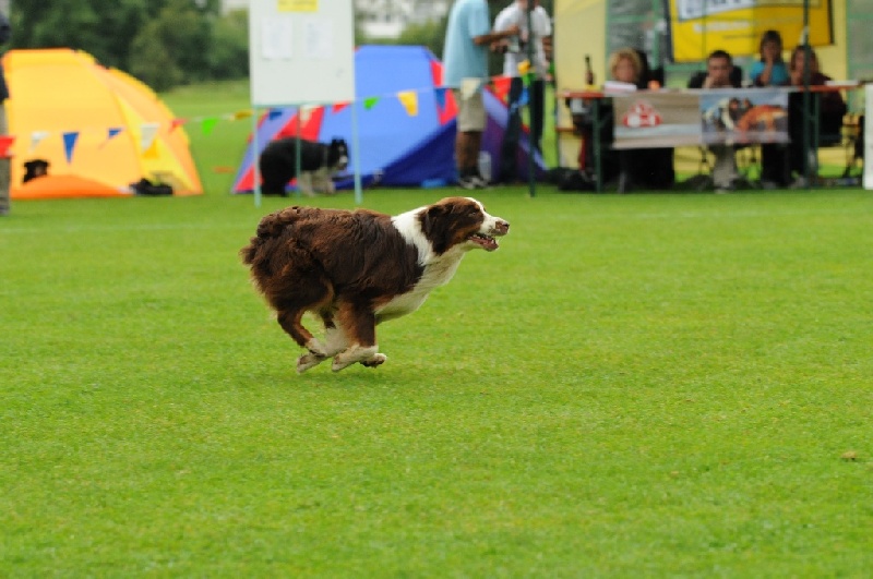 Image 160 of 855  -  207 kB