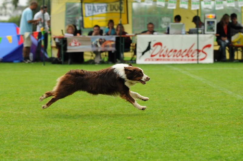 Image 161 of 855  -  211 kB