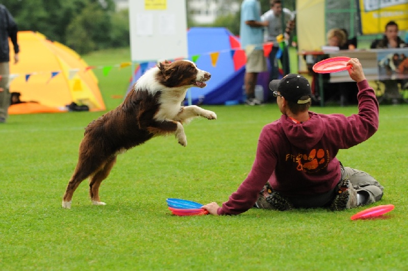 Image 162 of 855  -  217 kB