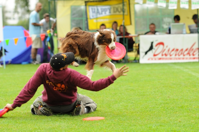 Image 163 of 855  -  216 kB