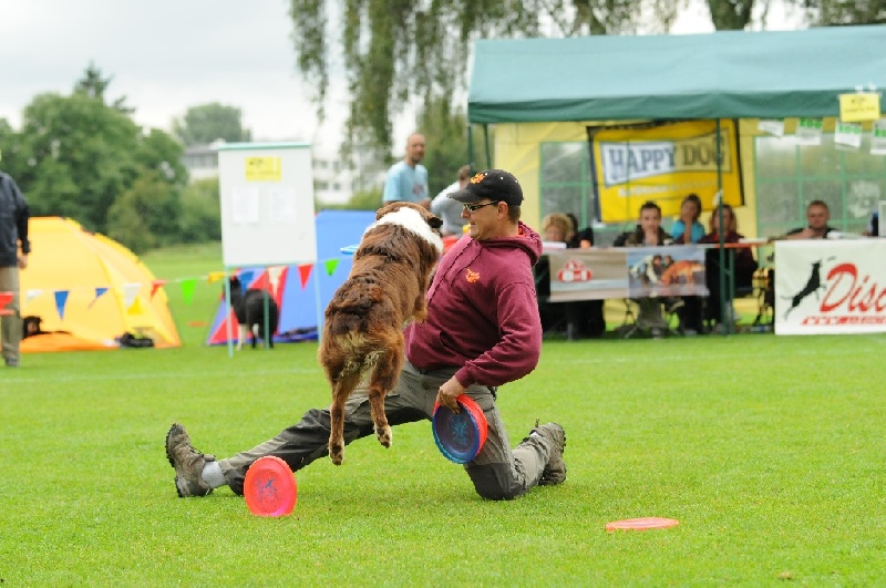 Image 164 of 855  -  236 kB