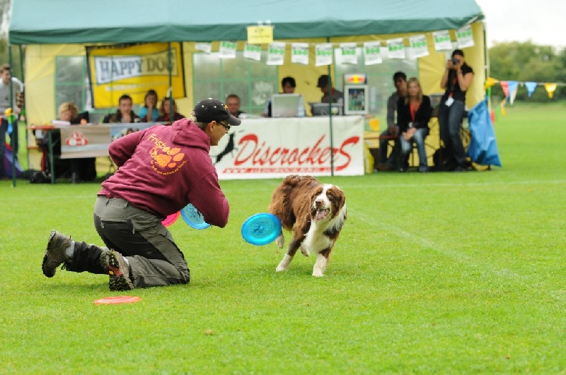 Image 165 of 855  -  239 kB