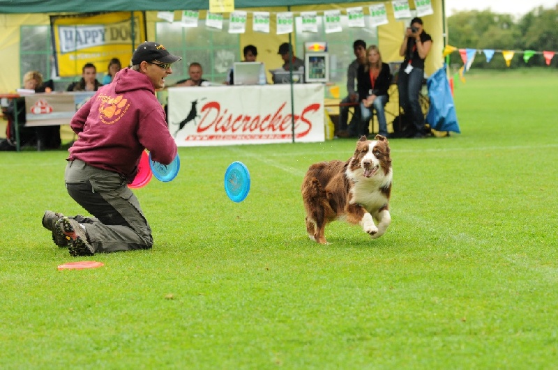 Image 166 of 855  -  243 kB