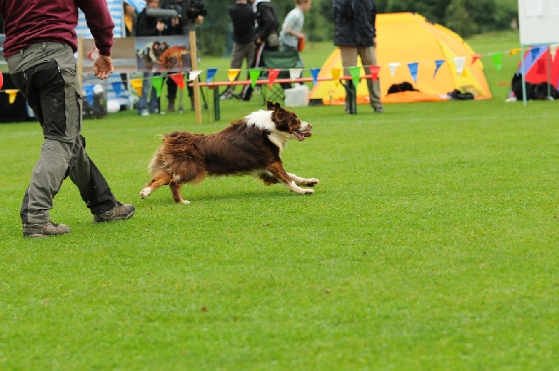 Image 167 of 855  -  237 kB