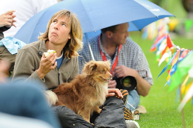 Image 168 of 855  -  218 kB