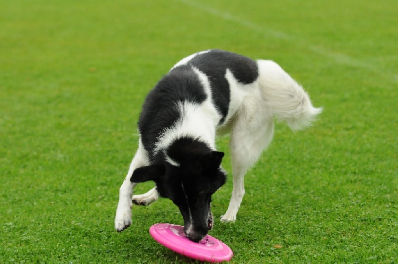 Image 169 of 855  -  209 kB