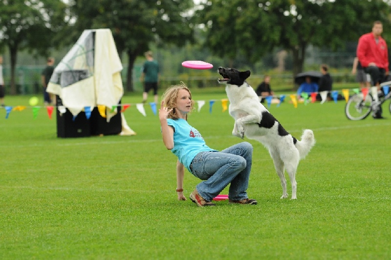 Image 170 of 855  -  226 kB