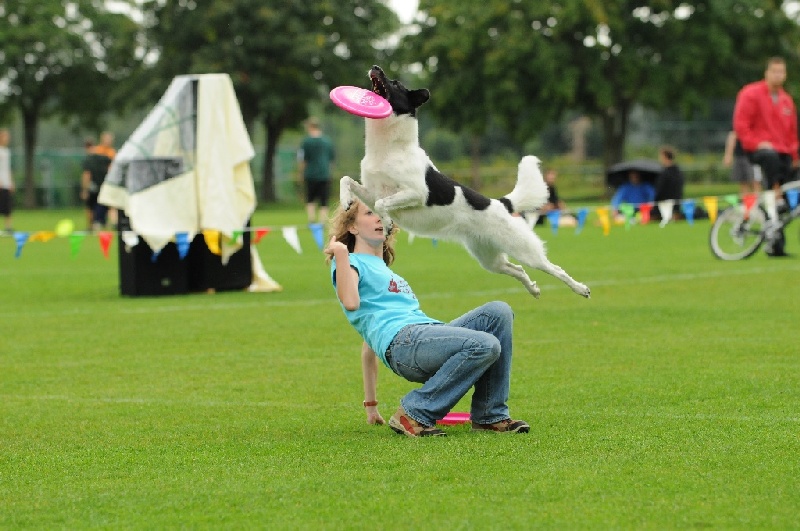 Image 171 of 855  -  225 kB