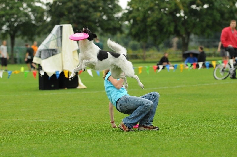 Image 172 of 855  -  226 kB