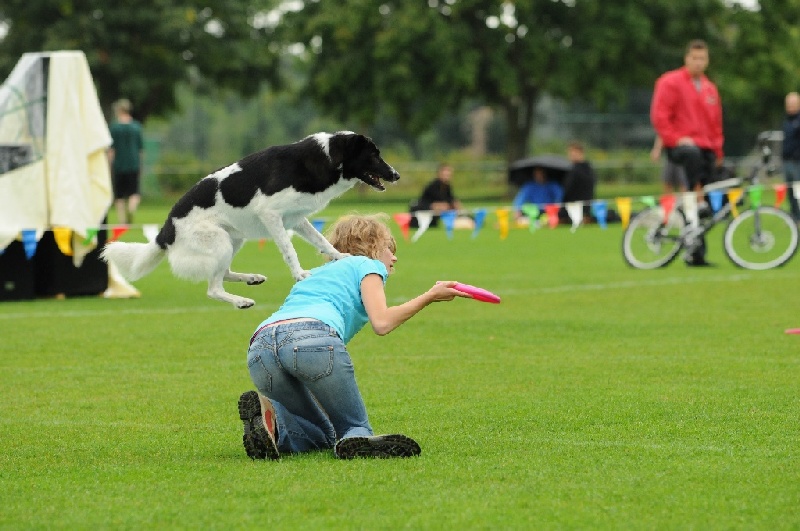 Image 173 of 855  -  219 kB