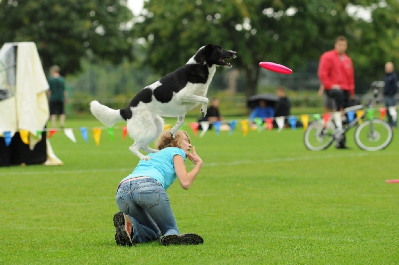 Image 174 of 855  -  216 kB