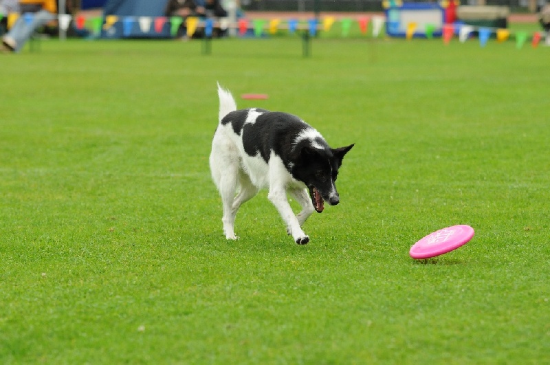 Image 176 of 855  -  206 kB