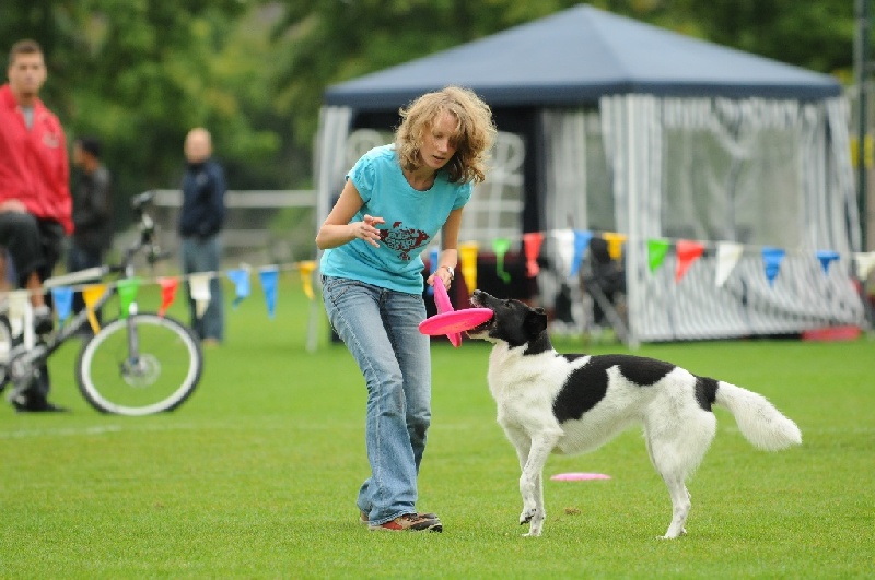 Image 177 of 855  -  214 kB